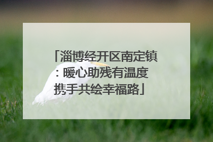 淄博经开区南定镇：暖心助残有温度 携手共绘幸福路