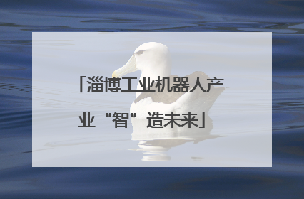 淄博工业机器人产业“智”造未来