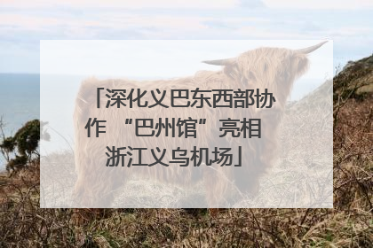 深化义巴东西部协作 “巴州馆”亮相浙江义乌机场