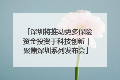 深圳将推动更多保险资金投资于科技创新｜聚焦深圳系列发布会