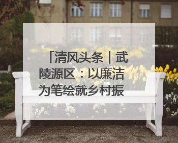 清风头条｜武陵源区：以廉洁为笔绘就乡村振兴新画卷