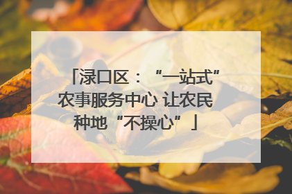 渌口区：“一站式”农事服务中心 让农民种地“不操心”