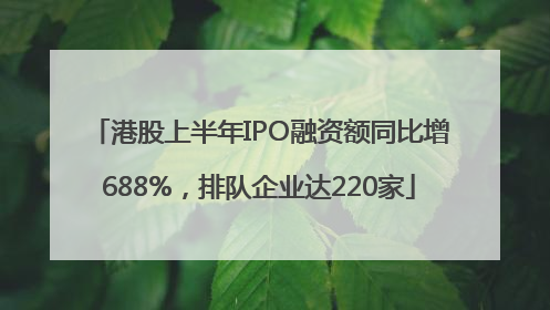 港股上半年IPO融资额同比增688%，排队企业达220家