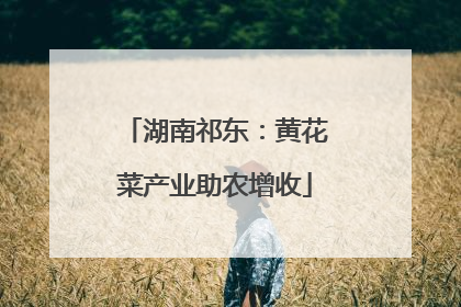 湖南祁东：黄花菜产业助农增收