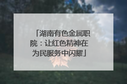 湖南有色金属职院：让红色精神在为民服务中闪耀