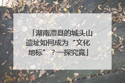 湖南澧县的城头山遗址如何成为“文化地标”？一探究竟
