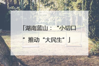 湖南蓝山：“小切口”推动“大民生”