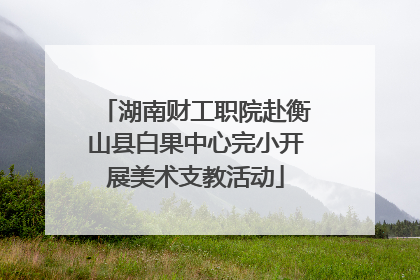 湖南财工职院赴衡山县白果中心完小开展美术支教活动