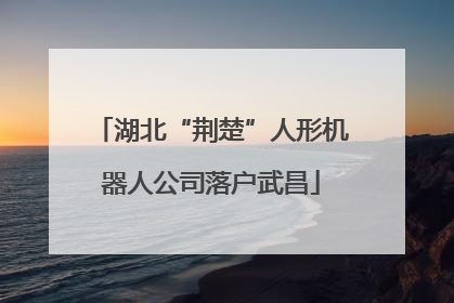 湖北“荆楚”人形机器人公司落户武昌