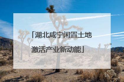 湖北咸宁闲置土地激活产业新动能