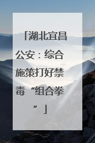 湖北宜昌公安：综合施策打好禁毒“组合拳”