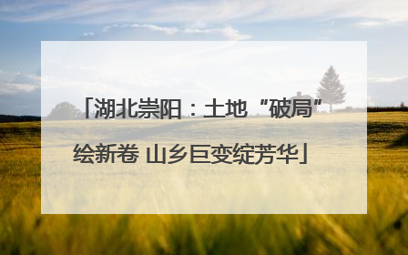 湖北崇阳：土地“破局”绘新卷 山乡巨变绽芳华
