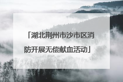 湖北荆州市沙市区消防开展无偿献血活动