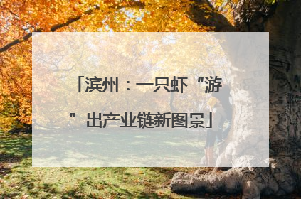 滨州：一只虾“游”出产业链新图景