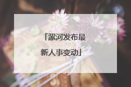 漯河发布最新人事变动