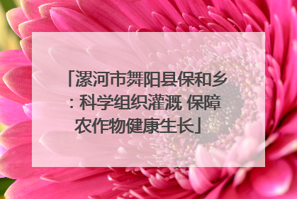 漯河市舞阳县保和乡：科学组织灌溉 保障农作物健康生长