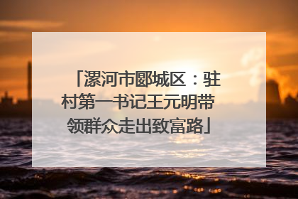 漯河市郾城区：驻村第一书记王元明带领群众走出致富路