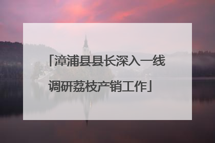 漳浦县县长深入一线调研荔枝产销工作