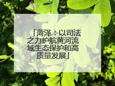 菏泽：以司法之力护航黄河流域生态保护和高质量发展