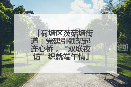 荷塘区茨菇塘街道：党建引领架起连心桥，“双联夜访”织就端午情