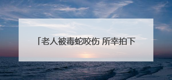 老人被毒蛇咬伤 所幸拍下照片及时注射抗蛇毒血清