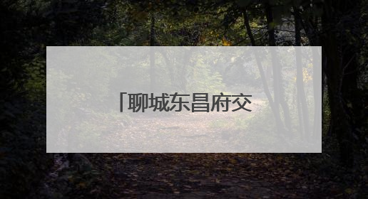 聊城东昌府交警这两场救援行动暖了民心