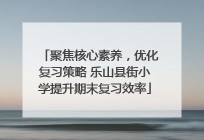 聚焦核心素养，优化复习策略 乐山县街小学提升期末复习效率