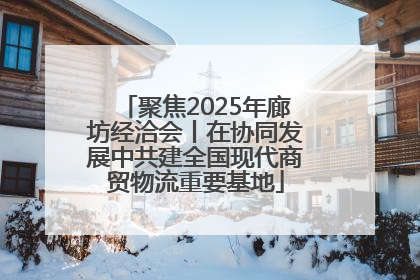 聚焦2025年廊坊经洽会丨在协同发展中共建全国现代商贸物流重要基地