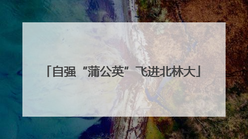 自强“蒲公英”飞进北林大