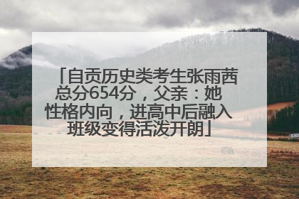 自贡历史类考生张雨茜总分654分，父亲：她性格内向，进高中后融入班级变得活泼开朗