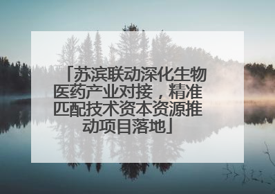 苏滨联动深化生物医药产业对接，精准匹配技术资本资源推动项目落地