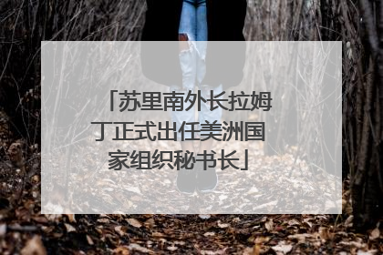 苏里南外长拉姆丁正式出任美洲国家组织秘书长