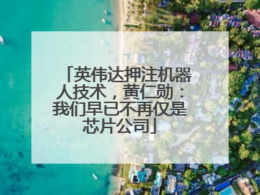 英伟达押注机器人技术，黄仁勋：我们早已不再仅是芯片公司