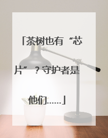 茶树也有“芯片”？守护者是他们……