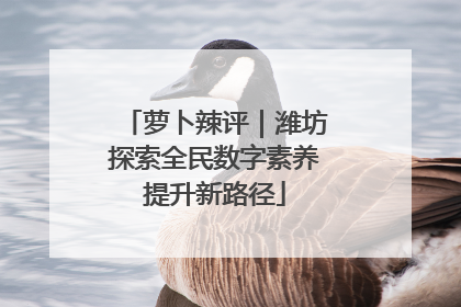 萝卜辣评｜潍坊探索全民数字素养提升新路径