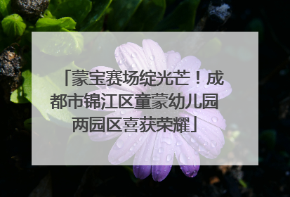 蒙宝赛场绽光芒！成都市锦江区童蒙幼儿园两园区喜获荣耀