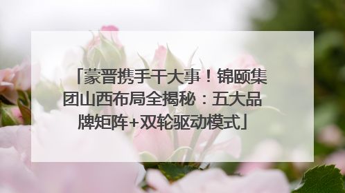 蒙晋携手干大事！锦颐集团山西布局全揭秘：五大品牌矩阵+双轮驱动模式
