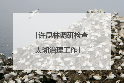 许昆林调研检查太湖治理工作