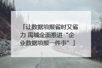 让数据填报省时又省力 禹城全面推进“企业数据填报一件事”