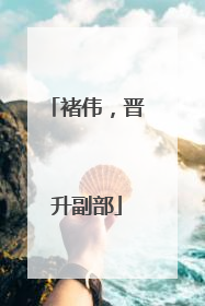 褚伟，晋升副部