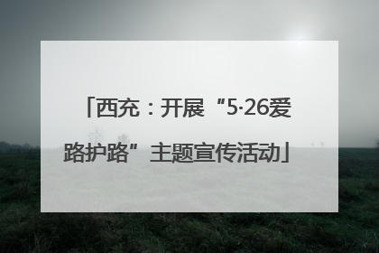 西充：开展“5·26爱路护路”主题宣传活动
