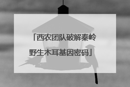 西农团队破解秦岭野生木耳基因密码