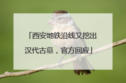 西安地铁沿线又挖出汉代古墓，官方回应