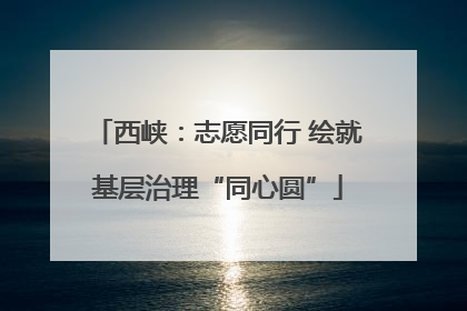 西峡：志愿同行 绘就基层治理“同心圆”