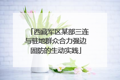 西藏军区某部三连与驻地群众合力强边固防的生动实践