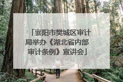 襄阳市樊城区审计局举办《湖北省内部审计条例》宣讲会