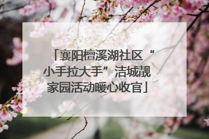 襄阳檀溪湖社区“小手拉大手”洁城靓家园活动暖心收官