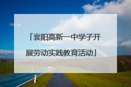 襄阳高新一中学子开展劳动实践教育活动