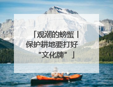 观潮的螃蟹丨保护耕地要打好“文化牌”