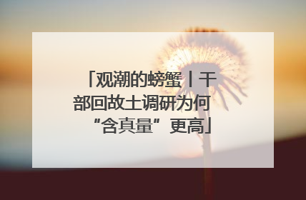 观潮的螃蟹丨干部回故土调研为何“含真量”更高